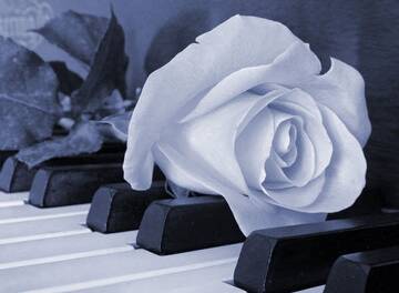 Public Photo of PiacevoleDistrazione