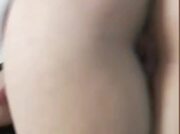 Amateur Video of ConigliettaSelvatica_